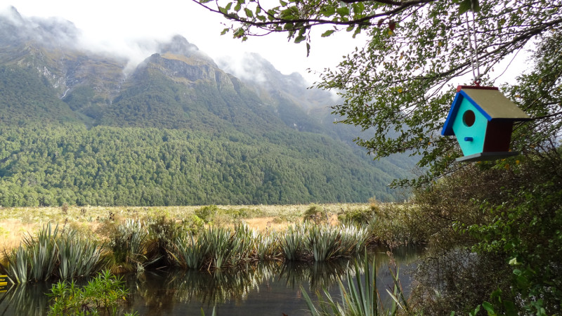 Day_25_Queenstown-Milford (4 of 22)