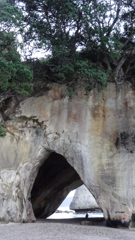 Day_11_Coromandel_Peninsula_II (14 of 21)