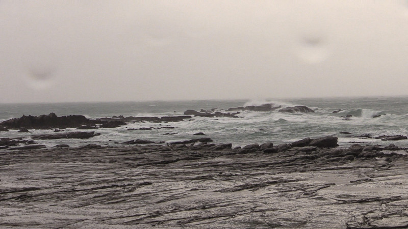 Day_18_Kaikoura2 (5 of 12)