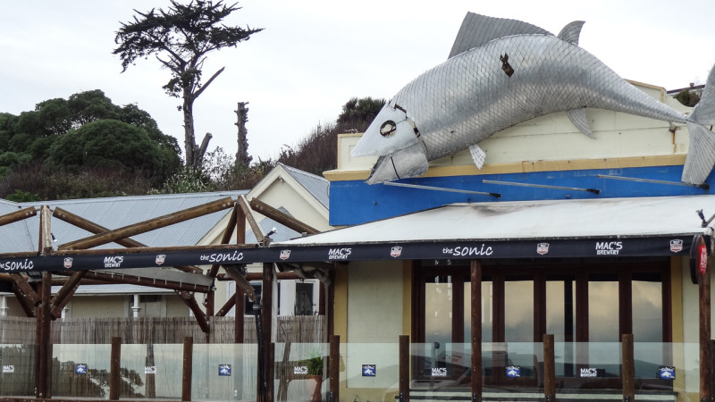 Day_18_Kaikoura2 (8 of 12)