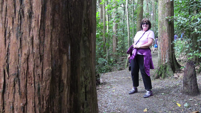 Day_7_Northland (3 of 17)