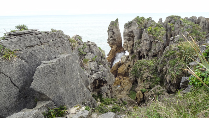 Day_20_Christchurch2Punakaiki (21 of 23)