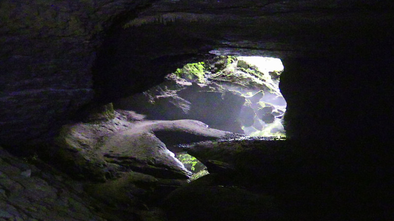 Day_20_Punakaiki II (11 of 16)