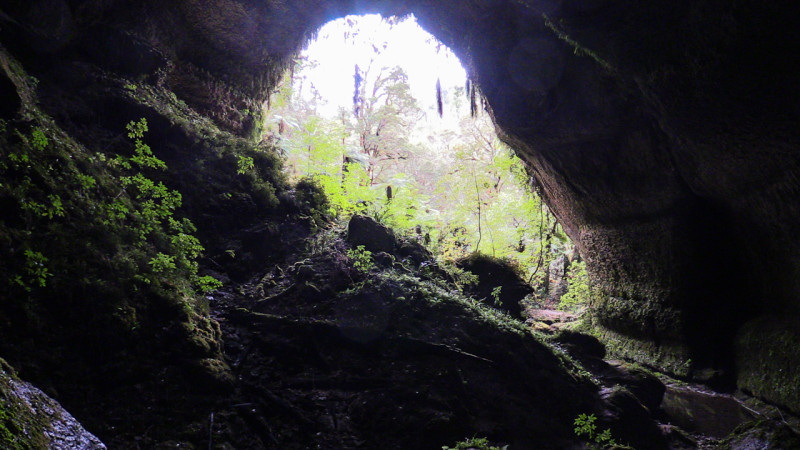 Day_20_Punakaiki II (12 of 16)