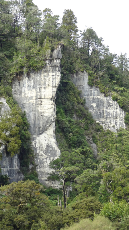 Day_20_Punakaiki II (5 of 16)