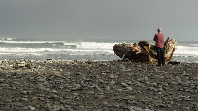 Day_22_Punakaiki2Fox (1 of 21)