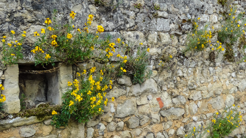 Bayeux-Normandy (3 of 39)