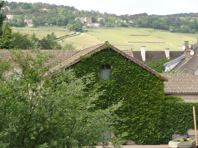 Beaune (9 of 68)