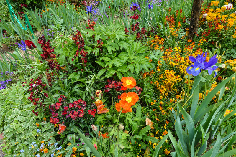 Giverny-Rouen (11 of 32)