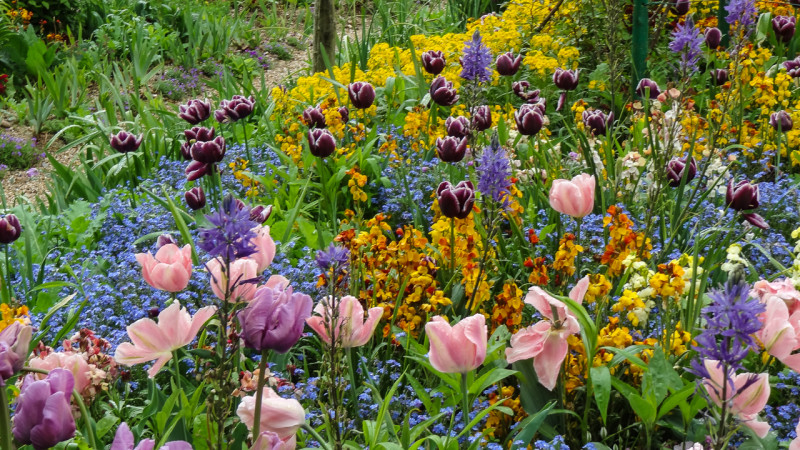 Giverny-Rouen (14 of 32)