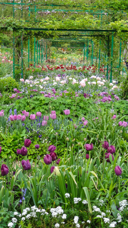Giverny-Rouen (15 of 32)