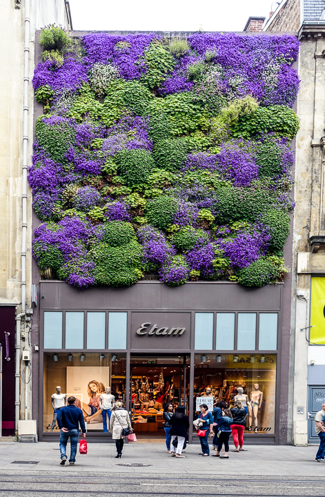 Reims (26 of 31)