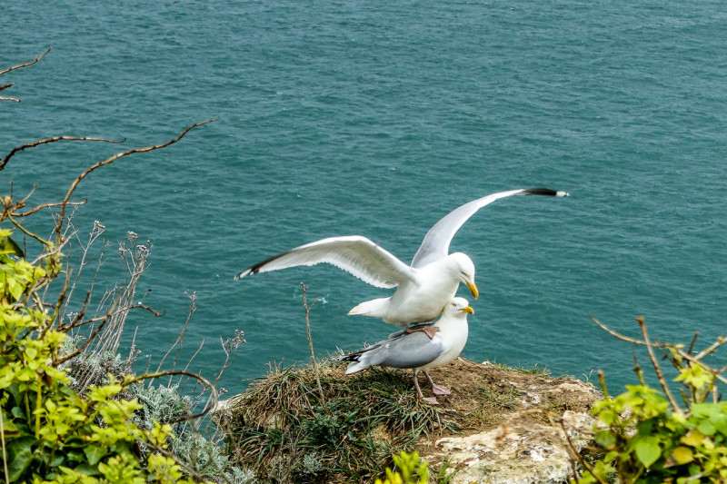 Rouen-Etretat (33 of 34)