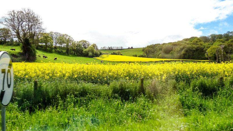 Rouen-Etretat (34 of 34)