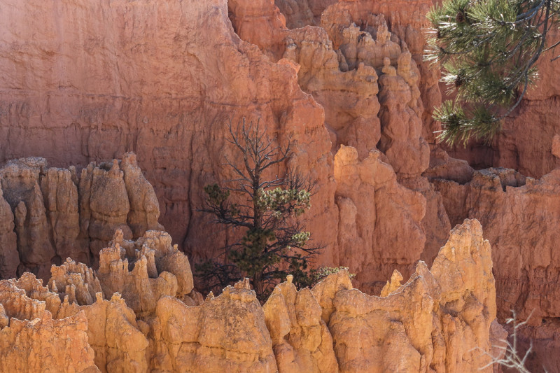 Utah2 (6 of 14)