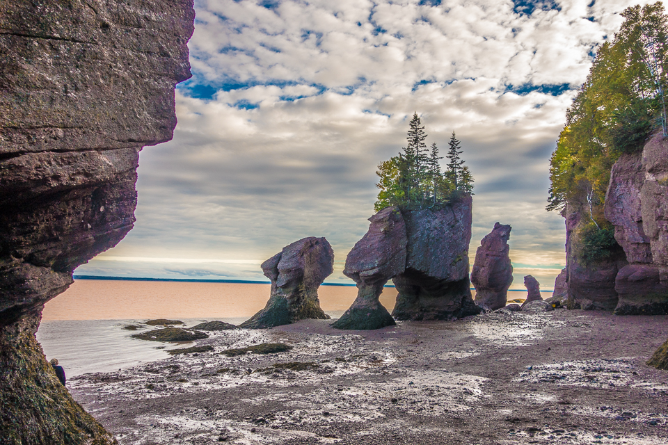 Acadian Coast